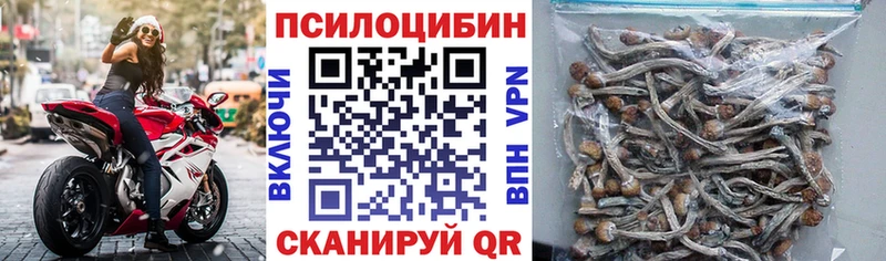 Псилоцибиновые грибы прущие грибы  kraken ссылки  Малмыж 